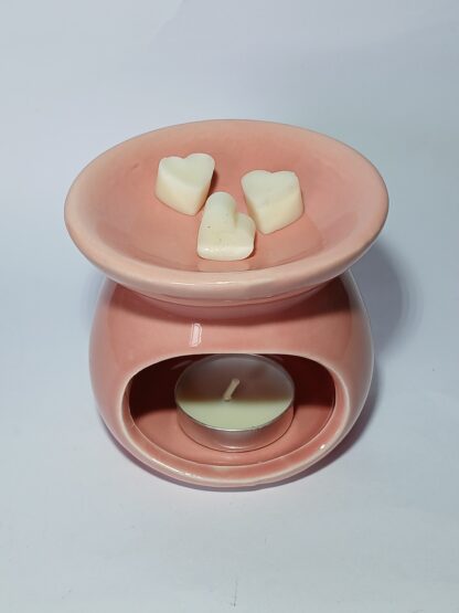 Pastilhas Aromáticas (Wax Melts) na Latinha – 50g Cera 100% Vegetal - Imagem 2