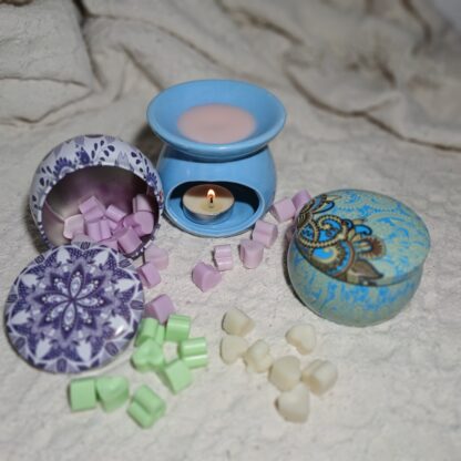 Pastilhas Aromáticas (Wax Melts) na Latinha – 50g Cera 100% Vegetal - Imagem 3