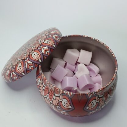 Pastilhas Aromáticas (Wax Melts) na Latinha – 50g Cera 100% Vegetal